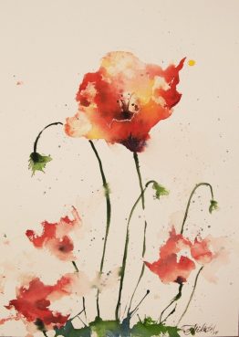 Poppies Watercolour