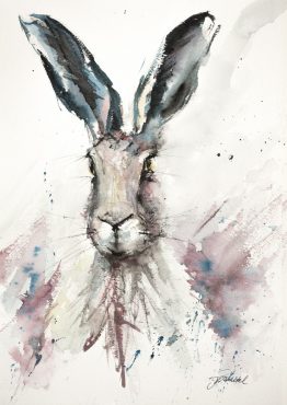 Hare Watercolour
