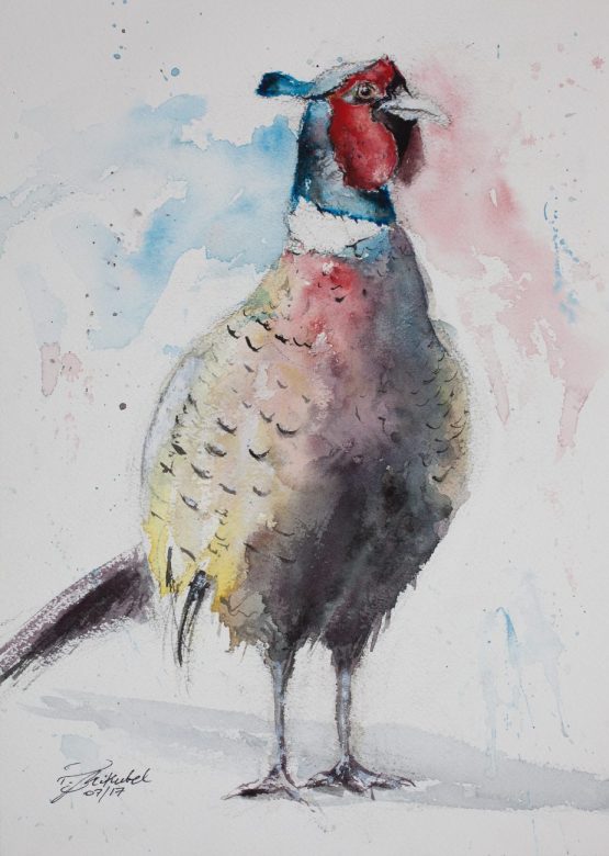 pheasant watercolour