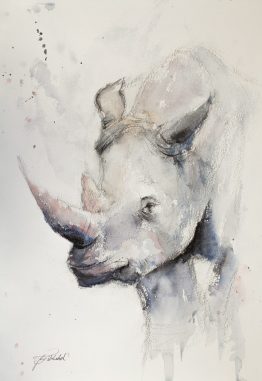 Watercolout Rhino