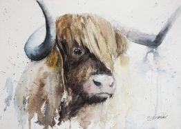 Highland Cow watercolour