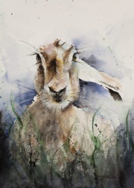 Hare Watercolour Painting