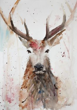 Stag 3