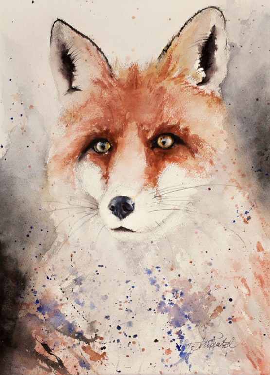 Fox Watercolour