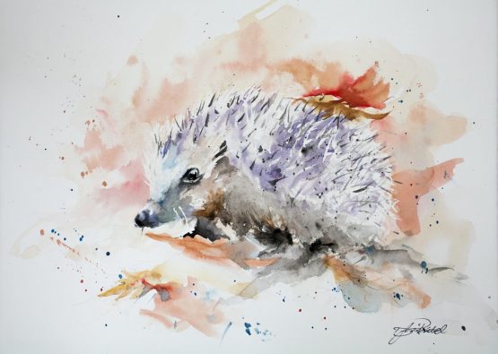 Watercolour Hedgehog