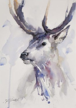 watercolour stag
