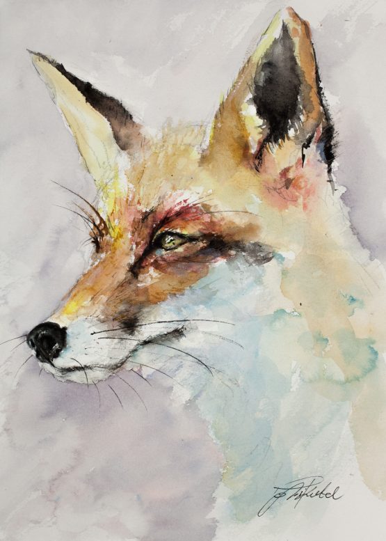 Fox-Portrait