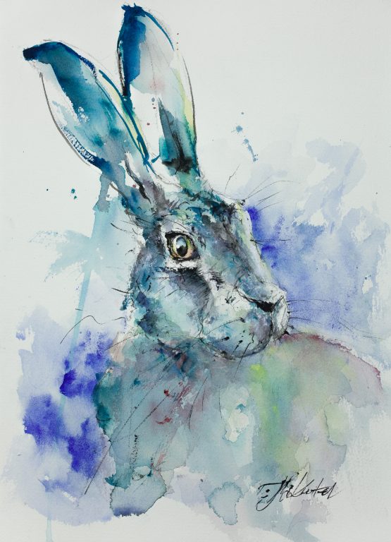 Ultramarine Turquoise Hare