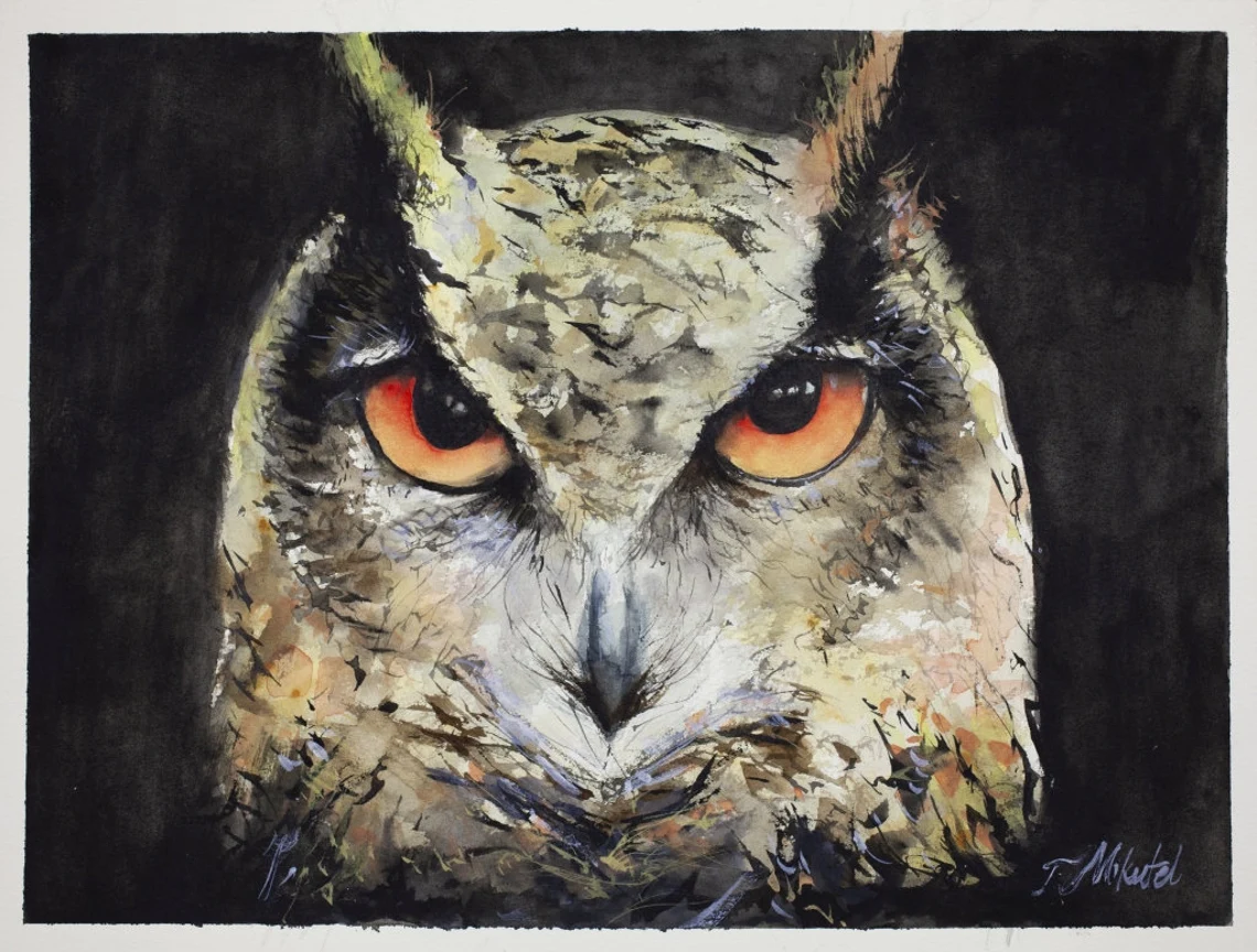Damians Owl